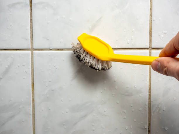  Barrackville, WV Mold Removal Pros