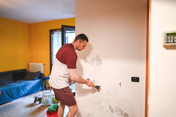 Best Emergency Mold Remediation in Barrackville, WV